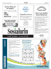 Síða 29