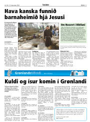 Síða 11