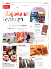 Síða 8