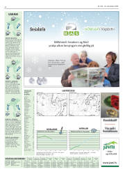 Síða 32