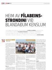 Síða 22