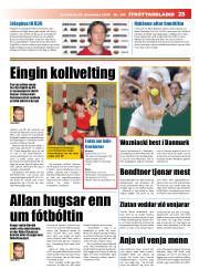 Síða 23