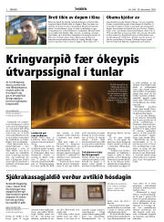 Síða 2