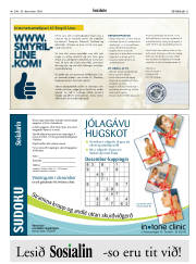 Síða 31
