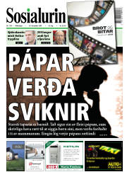Síða 1