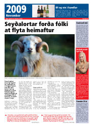Síða 29