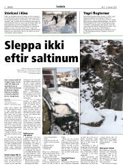 Síða 6
