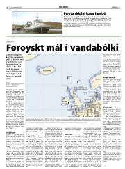 Síða 13