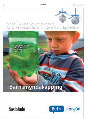 Síða 22