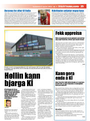 Síða 25