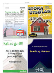 Síða 31