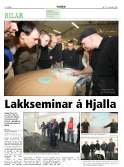 Síða 34