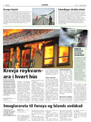 Síða 6