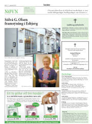 Síða 17