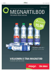 Síða 4