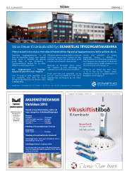 Síða 5