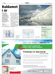 Síða 6