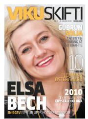 Síða 17