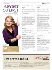 Síða 29