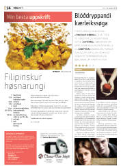 Síða 30