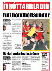 Síða 33