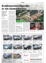 Síða 2