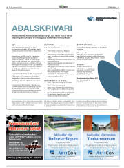 Síða 41