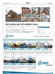 Síða 45
