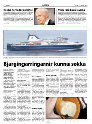Síða 6