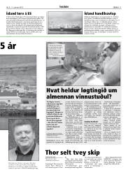 Síða 11