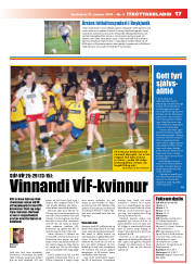 Síða 17