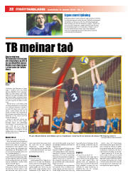 Síða 22