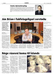 Síða 8