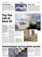 Síða 11