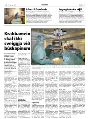 Síða 5