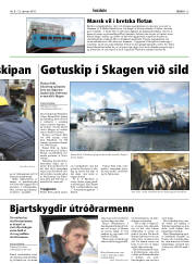 Síða 13