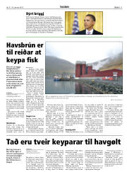 Síða 11