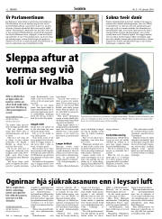 Síða 12