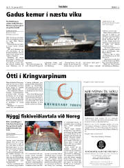 Síða 25