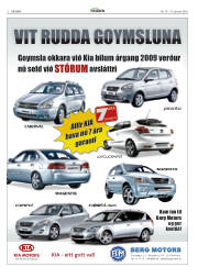 Síða 2