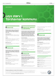 Síða 3