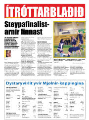 Síða 20