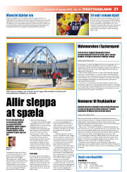Síða 21
