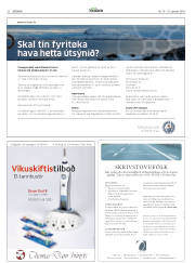 Síða 22