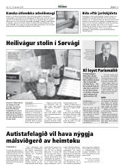 Síða 33