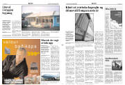 Síða 3