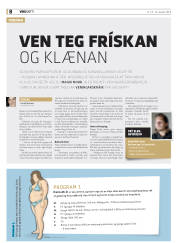 Síða 8