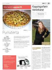 Síða 19