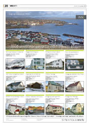 Síða 20