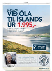 Síða 3